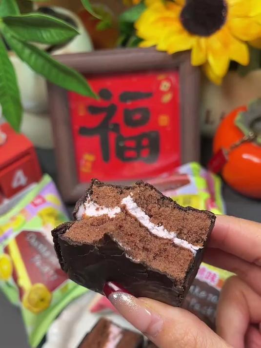 爱吃巧克力派的可以试试这个桃李醇可派糕点,4种口味松软解馋!