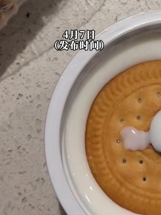 女生制作简易版提拉米苏,只需一盒酸奶和几块饼干就可制作完成!