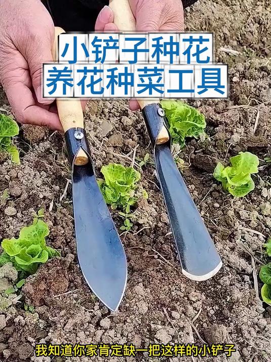 种花养花种菜工具挖野菜花卉除草#好物推荐##工具#