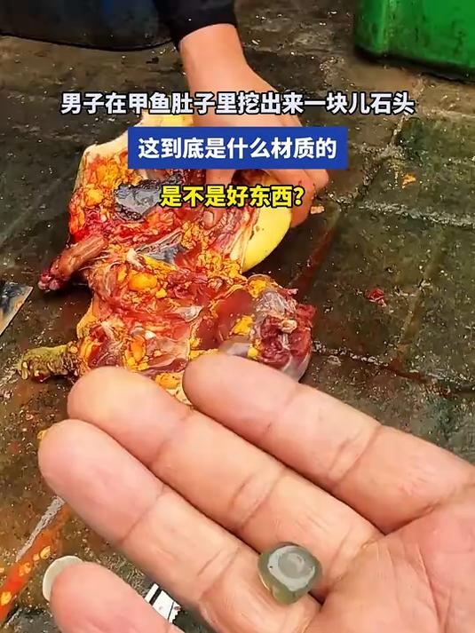 男子在甲鱼肚子里挖出来一块儿石头,这到底是不是好东西?