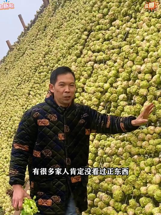 脆嫩爽口农家榨菜，低盐腌制，配稀饭、拌面，早餐百搭小菜#百家号618现金奖励带货挑战赛#