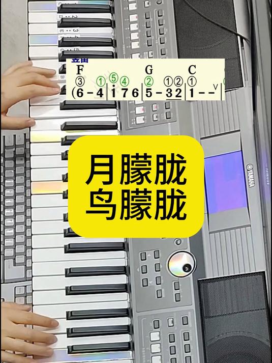 电子琴弹奏：月朦胧鸟朦胧