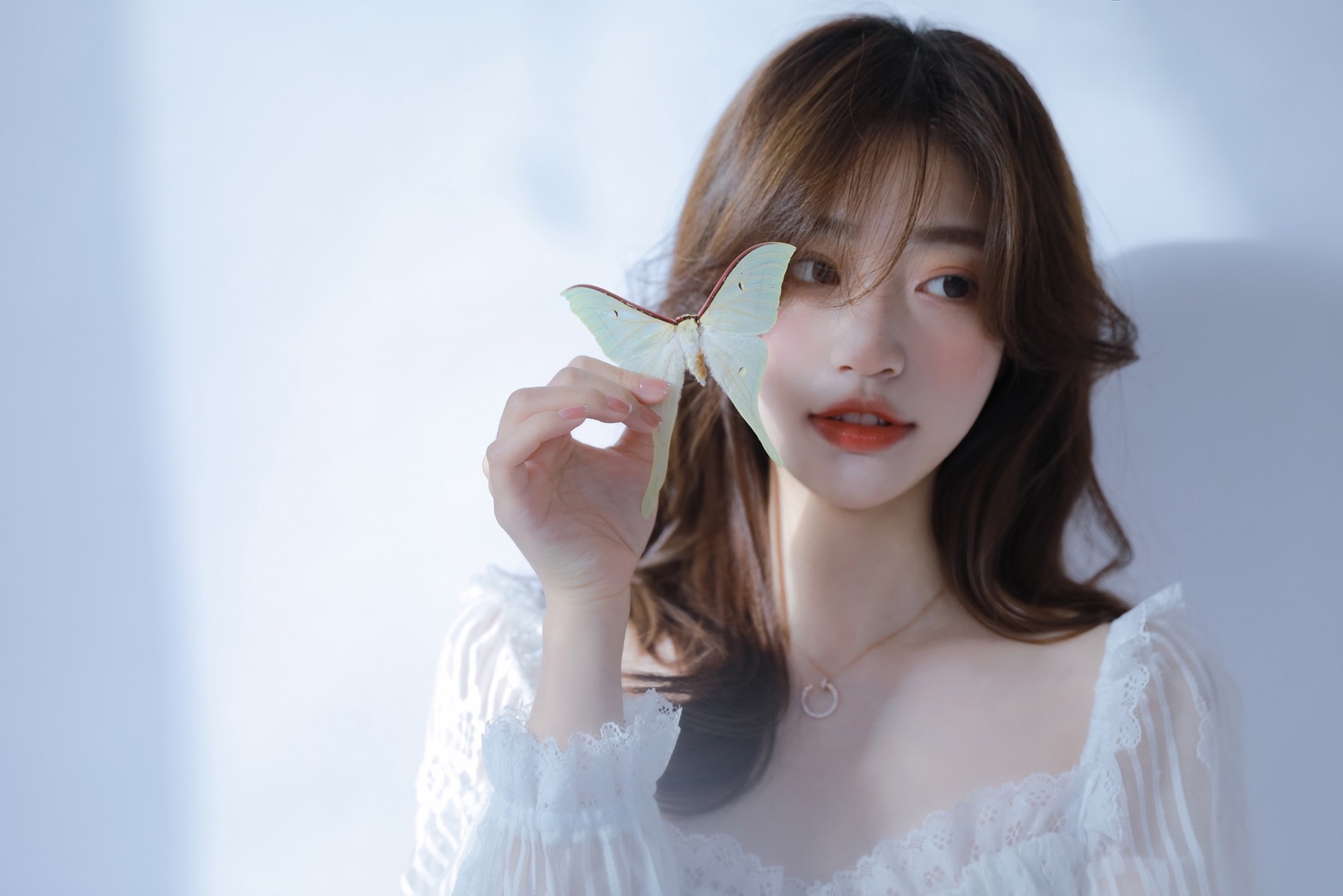 图片[10]-蝴蝶-六色网