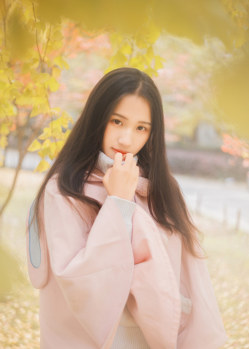学校的银杏-六色网