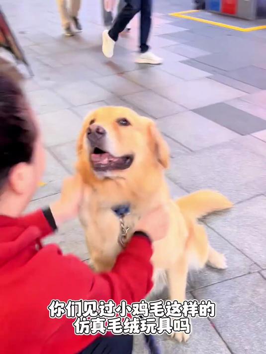 谁见过这种小鸡毛仿真毛绒玩具，手感绝了，逼真到心动