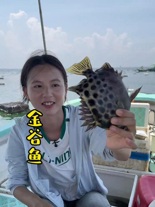 用200斤窝料钓了70斤的金鼓鱼，你们说到底是亏了还是赚了