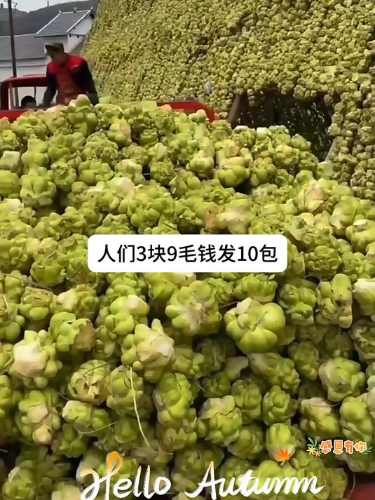 涪陵榨菜超实在!脆爽无筋,配面超开胃