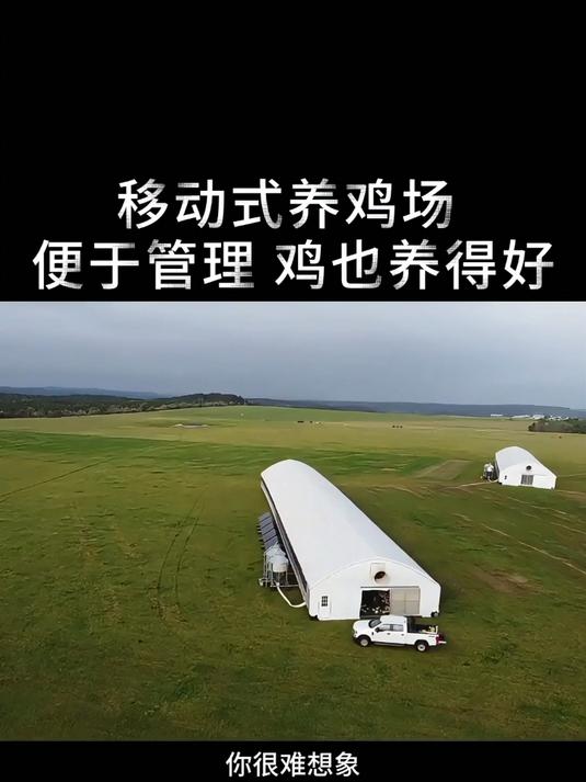 移动式养鸡场 便于管理 鸡也养得好