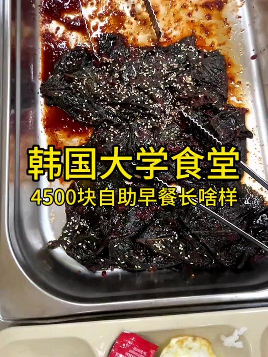 韩国大学食堂4500块自助早餐长啥样?