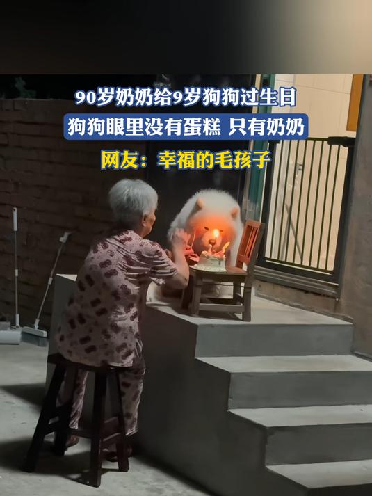 90岁奶奶给9岁狗狗过生日，狗狗眼里没有蛋糕只有奶奶，网友：幸福的毛孩子