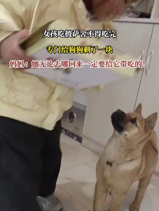 女孩吃披萨舍不得吃完,专门给狗狗剩了一块,妈妈:她无论去哪回来一定要给它带吃的!