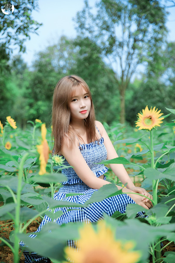 图片[12]-向日葵的少女-六色网