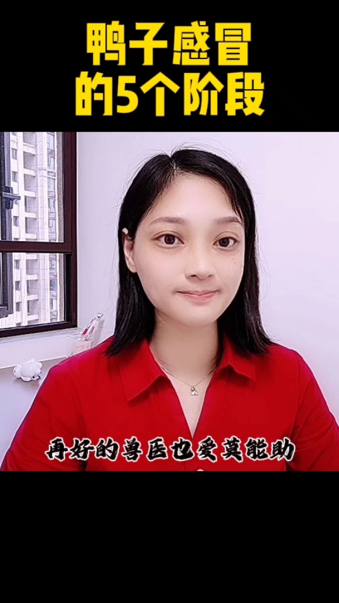 鸭子感冒的5个阶段!