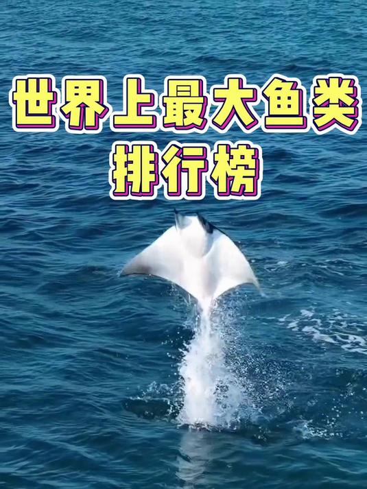 世界上最大鱼类排行榜