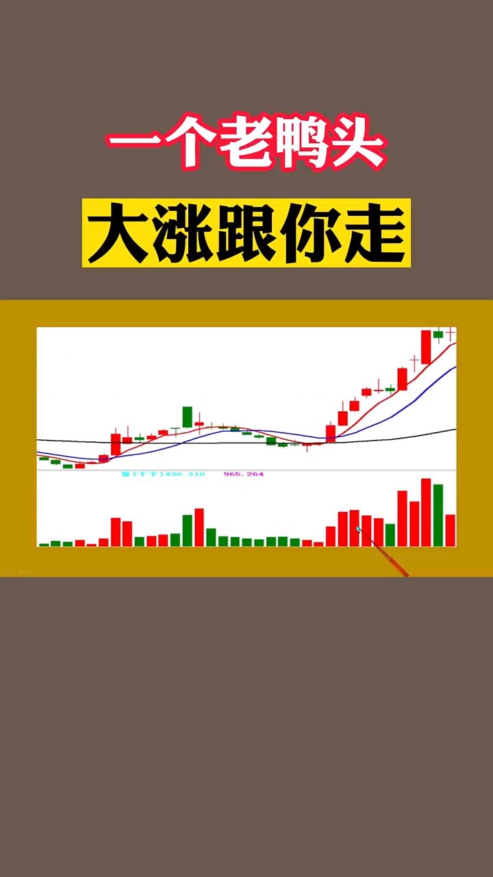 一个老鸭头,大涨跟你走