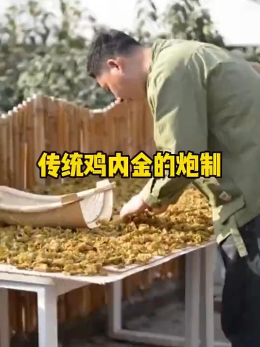 告别肠胃烦恼!鸡内金粉,高效调理即见效!