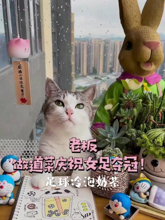 猫咪为女足健儿做了杯足球冷泡奶茶