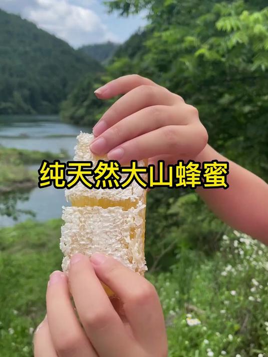 土蜂蜜的营养宝藏:天然维生素与矿物质的黄金组合