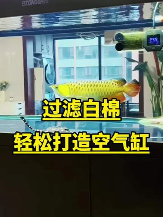 鱼缸净水就靠它!高密度过滤棉,水族箱必备材料