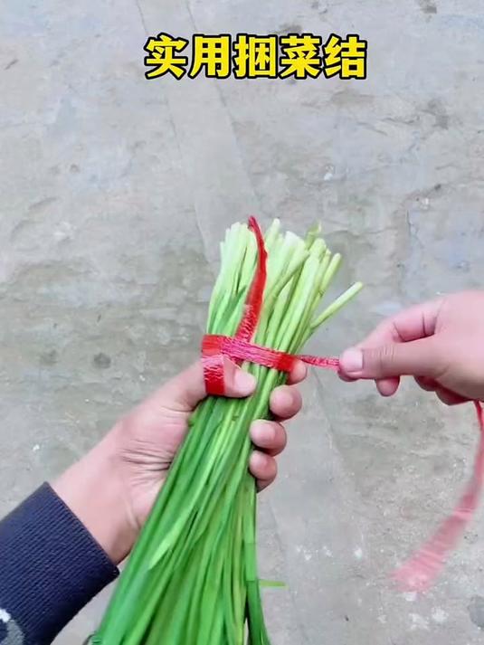 快速捆韭菜的方法