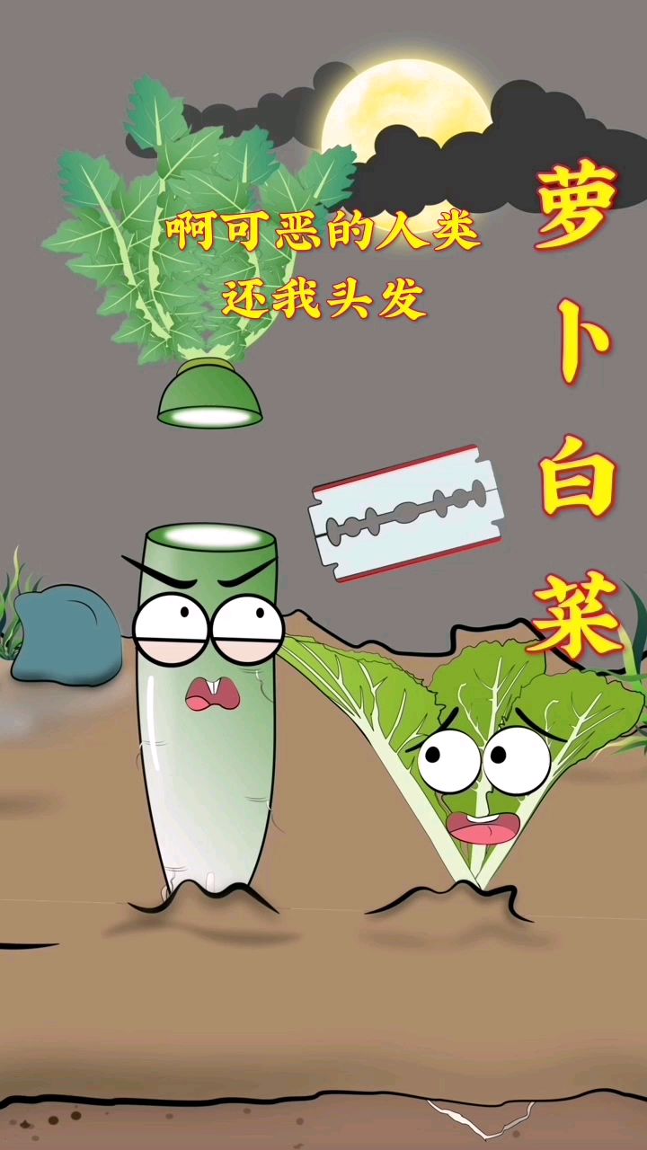 萝卜白菜都属于十字花科蔬菜,尽管外形不同,但还是可以进行嫁接的.