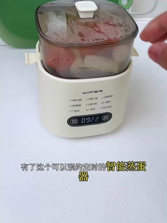 多功能蒸蛋煮蛋器全自动预约早餐机家用迷你蒸蛋器