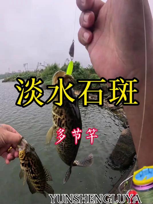 海南路亚资源到底有多绝,钓友直呼大开眼界!