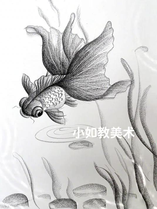 简单画金鱼