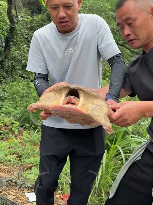 出乎意料！神秘深山天坑惊现大甲鱼