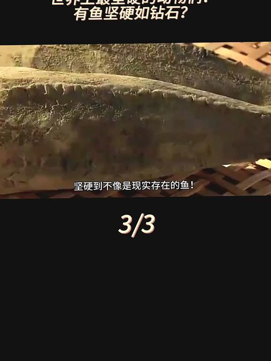 分不清是木头还是鱼!还有人把它打磨成刀!鲣鱼为何这么坚硬?