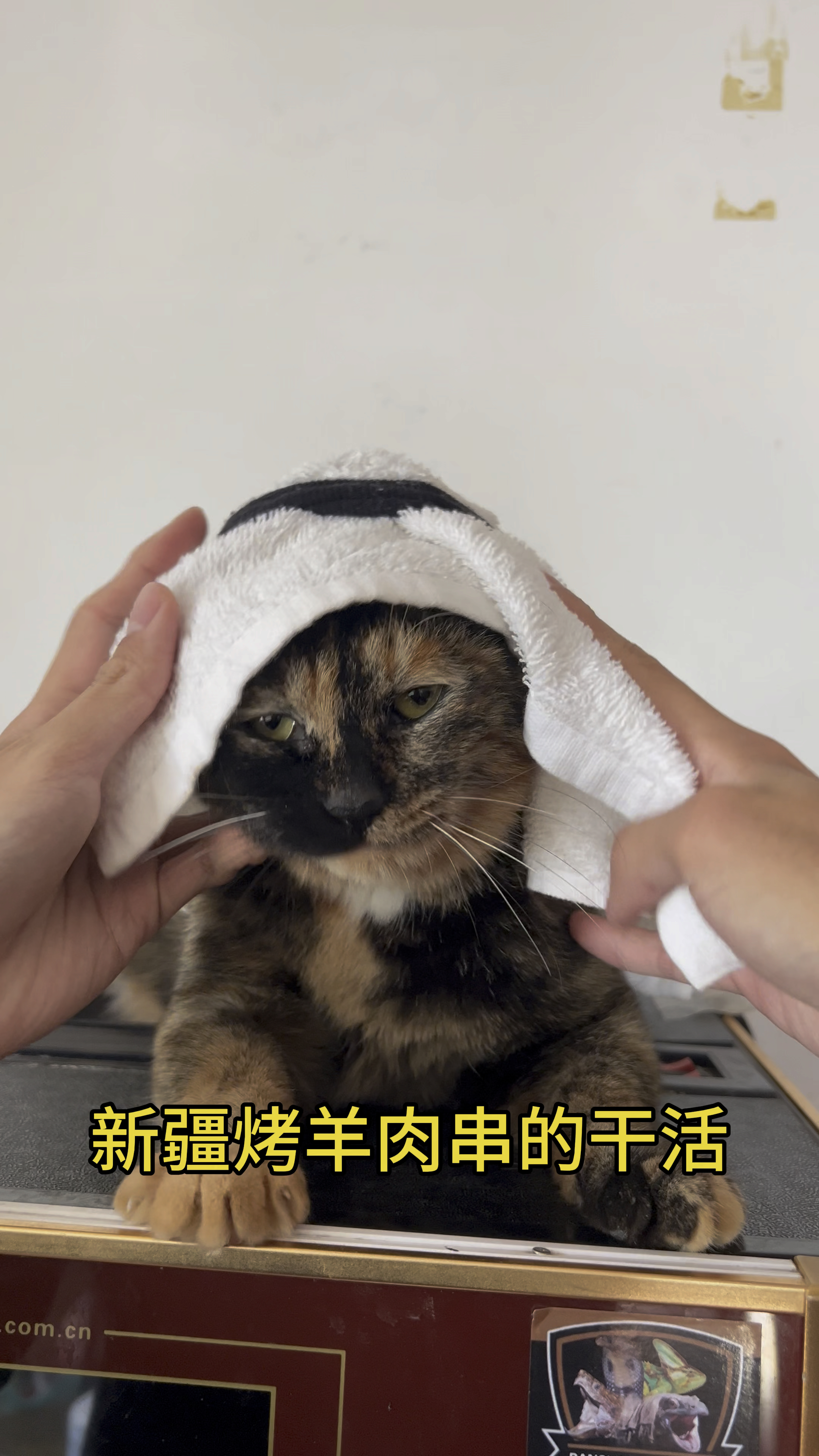 新疆烤猫肉串