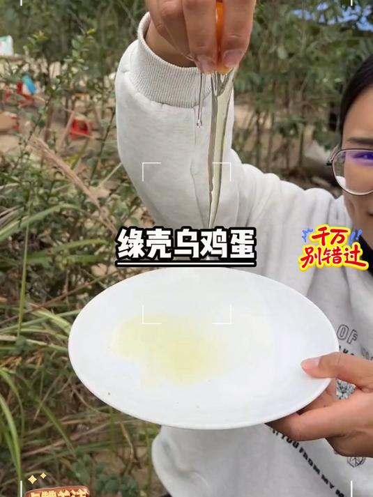 正宗绿壳蛋乌鸡蛋 吃的放心，这才是真土鸡蛋的样子