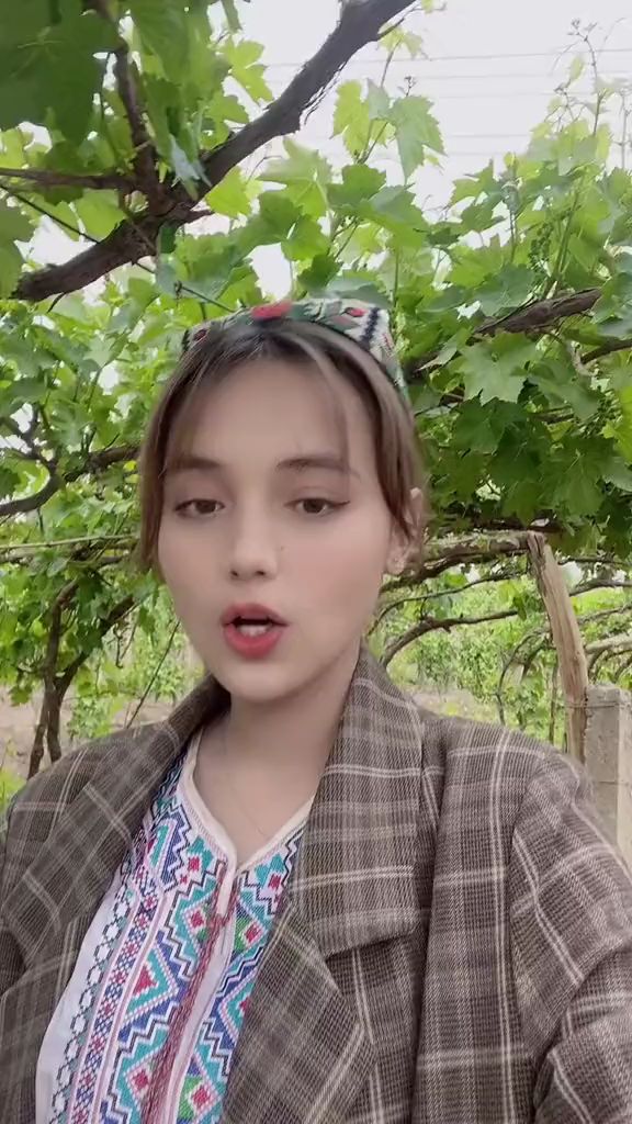 新疆吐鲁番葡萄干