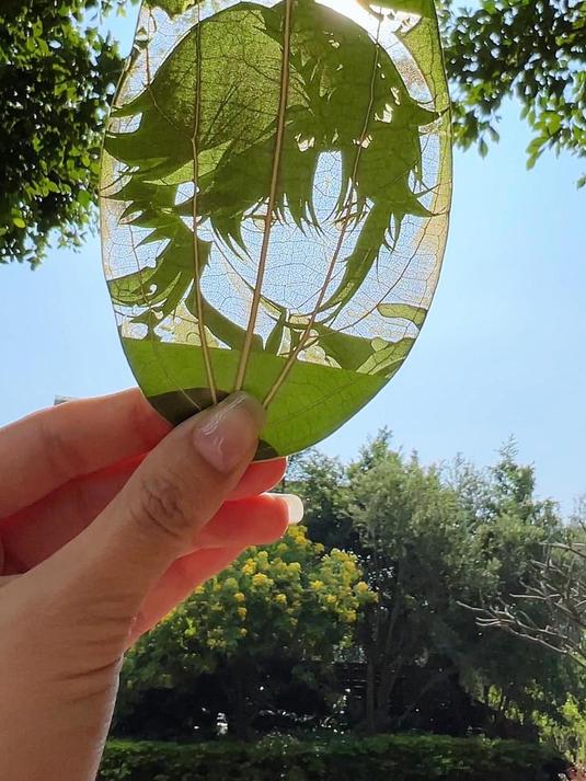 潮玩剪纸&原神头像