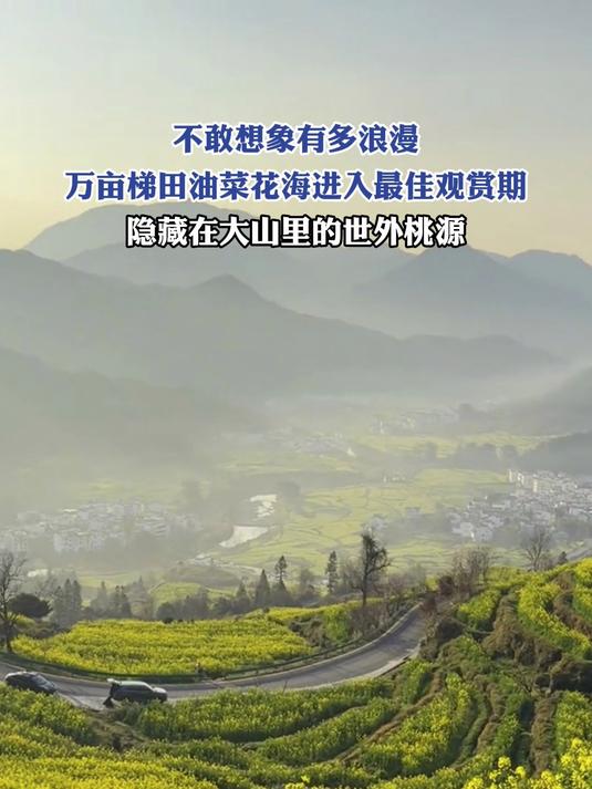 万亩梯田油菜花海进入最佳观赏期,不敢想象有多浪漫