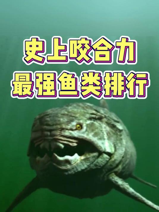 史上咬合力最强鱼类排行