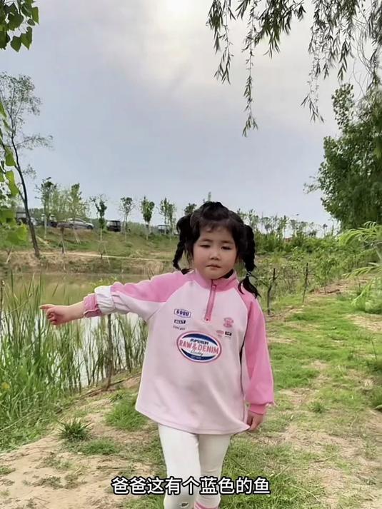 你们见过会飞的鱼吗?