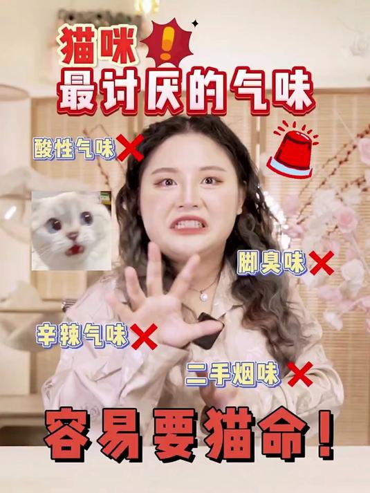 不同品种的猫,长相性格差别能有多大……