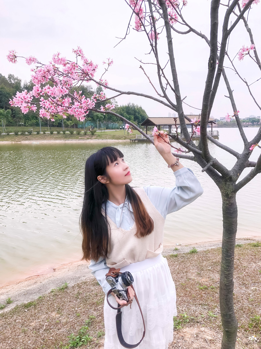 图片[2]-落樱少女-六色网