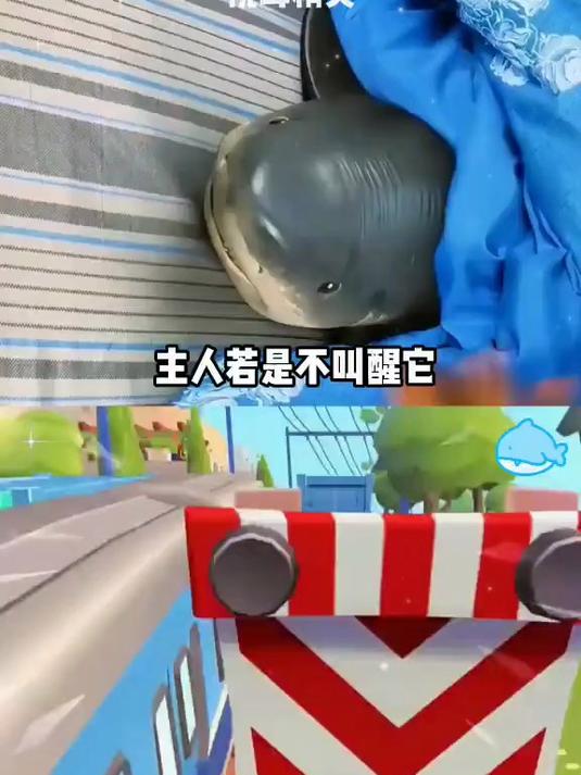 你见过这么可爱的小鲨鱼吗