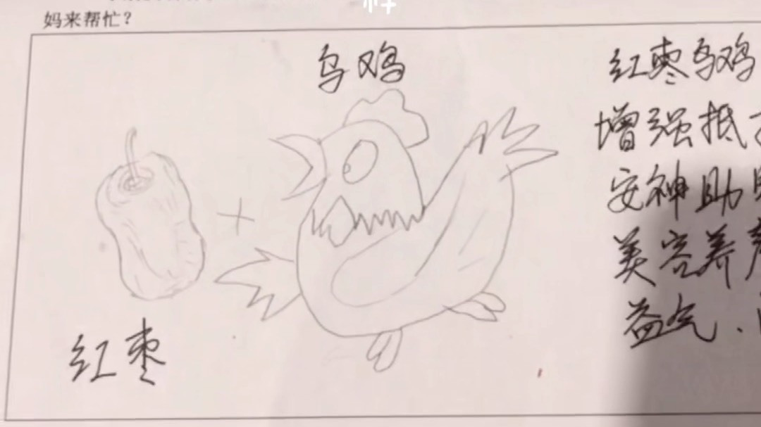 幼儿园的家庭作业,小调查:和红枣有关的妈妈营养菜单,我和女儿画了红枣+乌鸡,怎么样?能入老