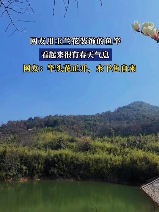 #花满春城我代言#网友用玉兰花装饰的鱼竿，看起来很有春天气息