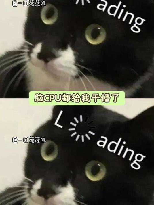 所以胖头鱼的一生是从姐妹到夫妻再到情敌手下败将#冷知识# #鹦嘴鱼# #奇妙的海洋生物##