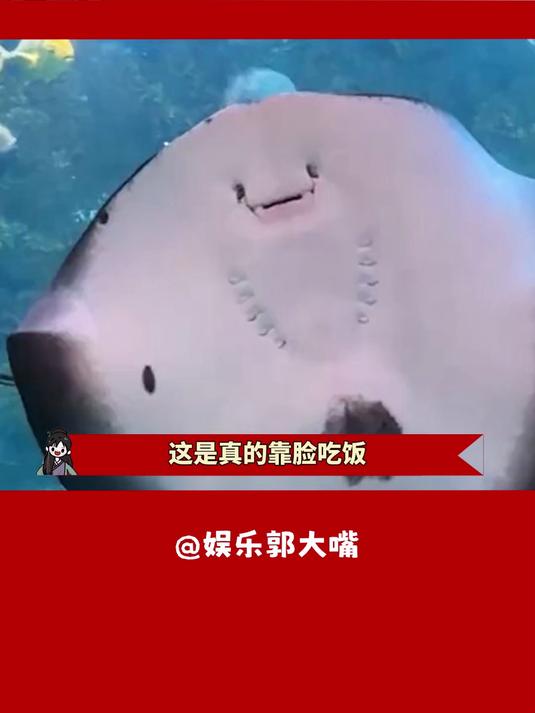 紫薯球竟然是最干净的