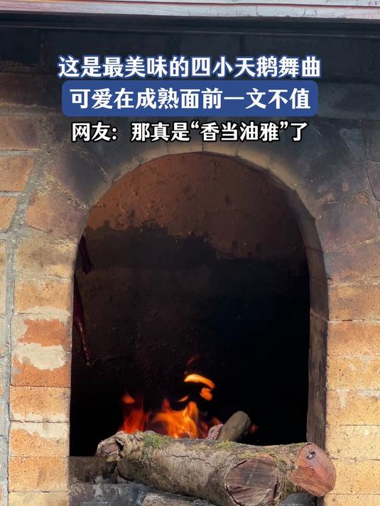 这是最美味的四小天鹅舞曲,可爱在成熟面前一文不值