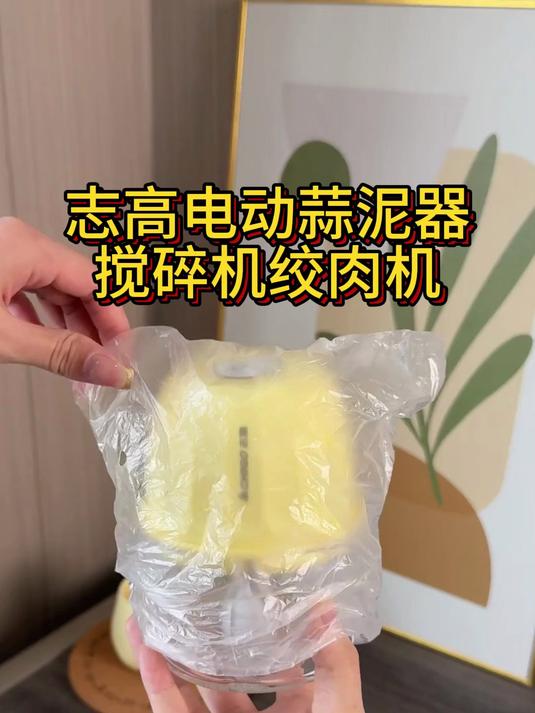 志高蒜泥器搅碎机绞肉机小型辅食多功能家用