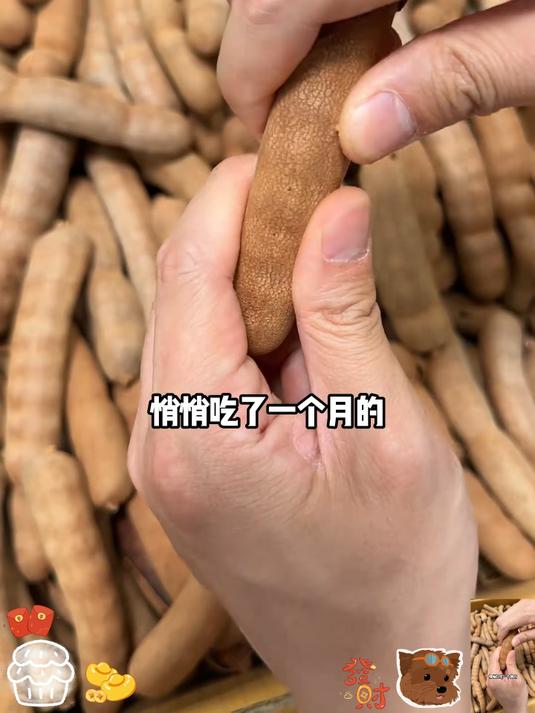 精选大果云南甜酸角自然成熟酸甜可口!