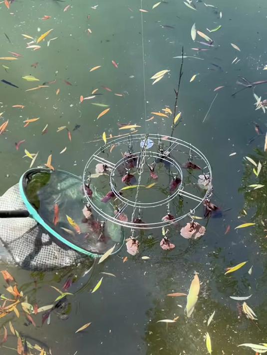 今天来替钓友们试试钓龙虾的新装备,顺便还能再捞点零花钱,野钓