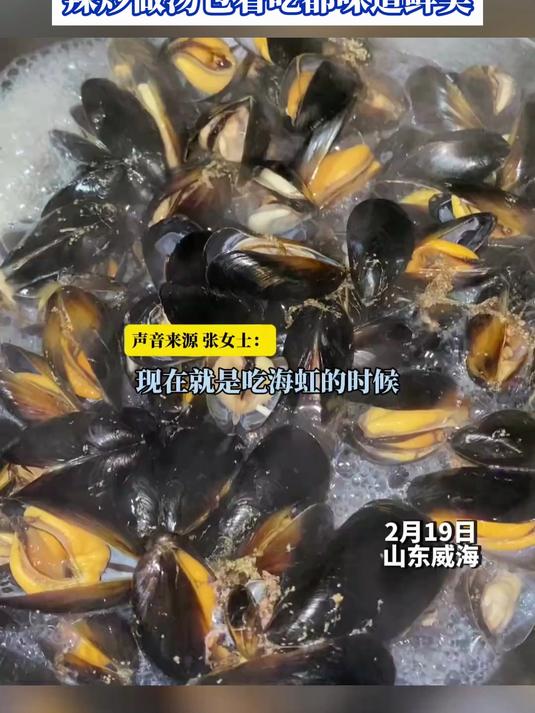 又到最亲民最便宜海鲜上桌的时候,每斤只要两块钱