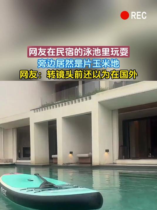 网友在民宿的泳池里玩耍,旁边居然是片玉米地,网友:转镜头前还以为在国外